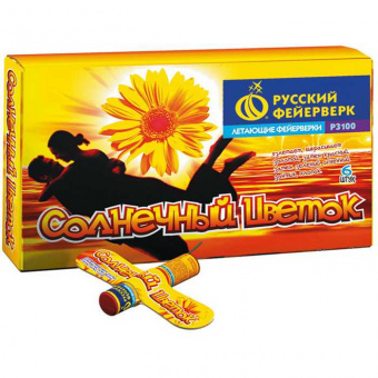 Вращающийся  "Солнечный цветок"