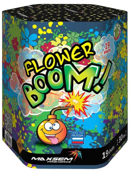 M1251 Батареи салютов  FLOWER BOOM 30мм/19выст. (8/1)
